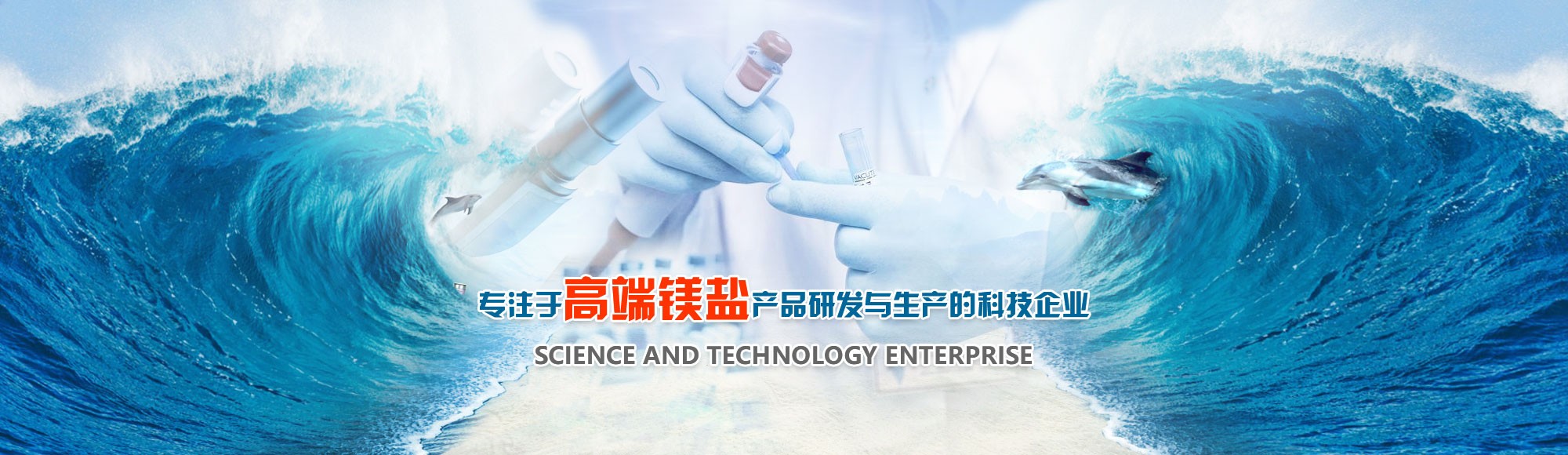 Scientific and Technological Enterprises Focusing on Research and Development and Production of High-end Magnesium Salt Products